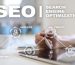 Onsite vs. Offsite SEO: Striking the Right Balance for B2B Success